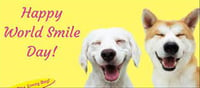 How to make your pet smile on World Smile Day?